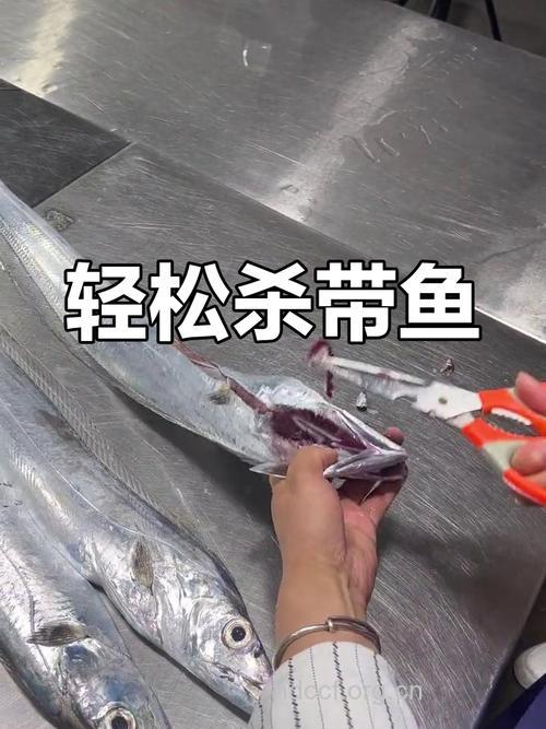带鱼怎么洗 怎么洗带鱼才干净