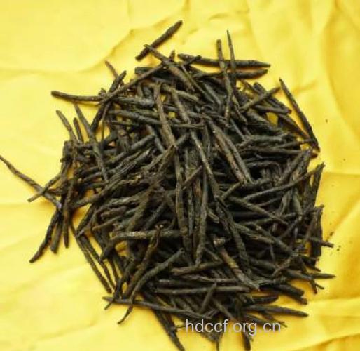 5类人不适合喝苦丁茶