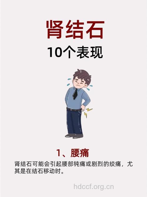 容易导致肾结石的4种情况