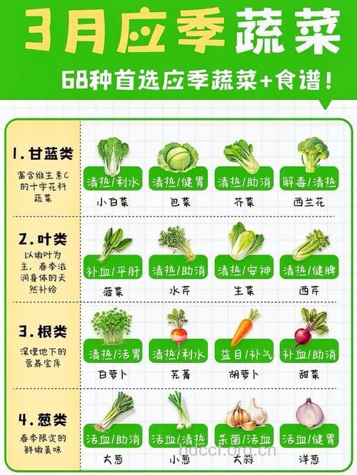 3月份吃什么蔬菜？推荐13种时令蔬菜