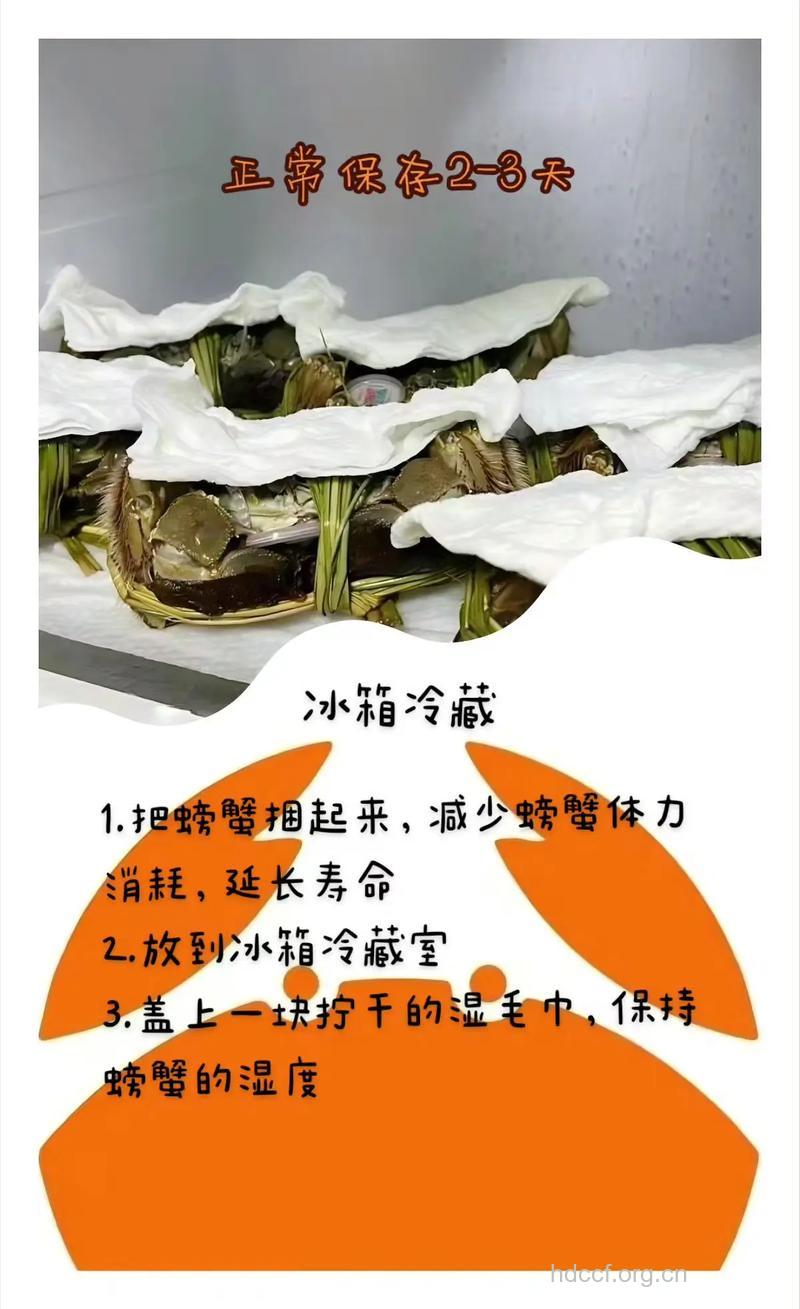 大闸蟹怎么保存才新鲜