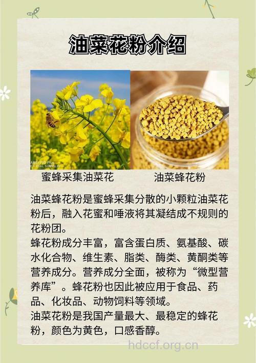 春季喝8种饮品抗花粉过敏