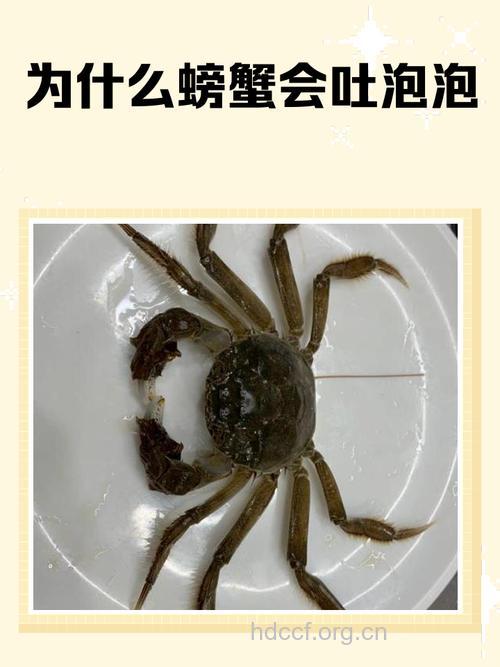 秋季吃河蟹应先用苏打水泡