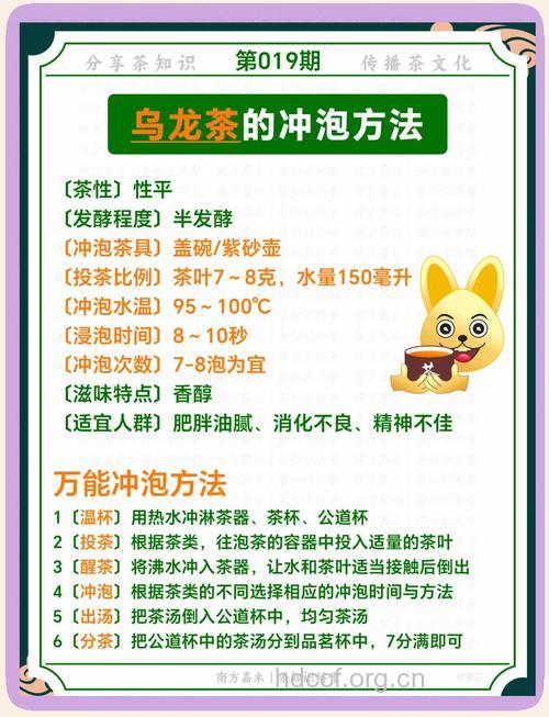 冲泡乌龙茶的关键步骤