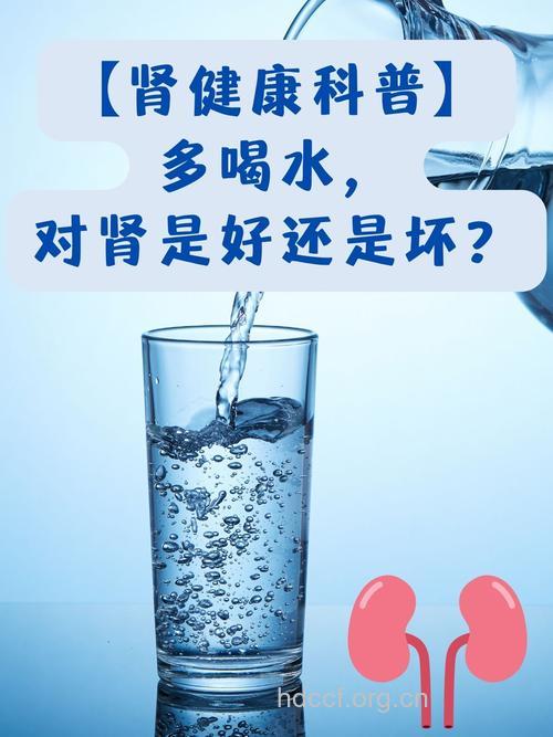 多喝水让肾脏更健康