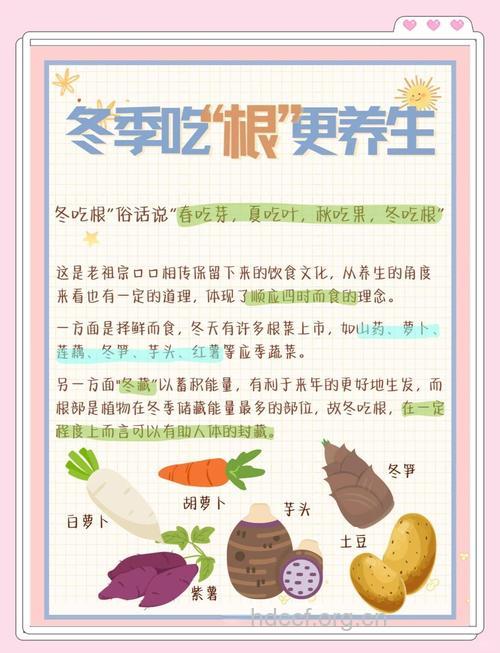 冬季吃什么最养生 推荐9种根菜