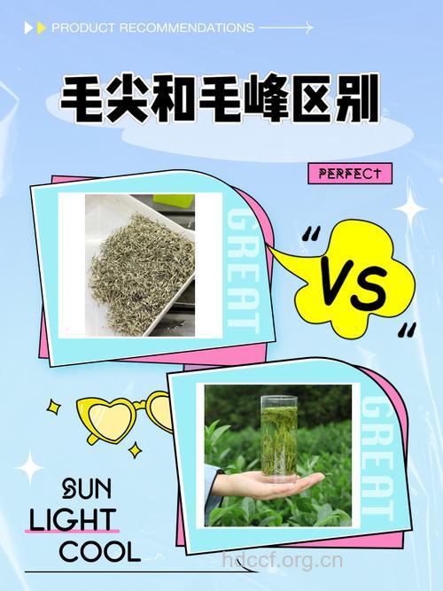 毛峰和毛尖有什么区别