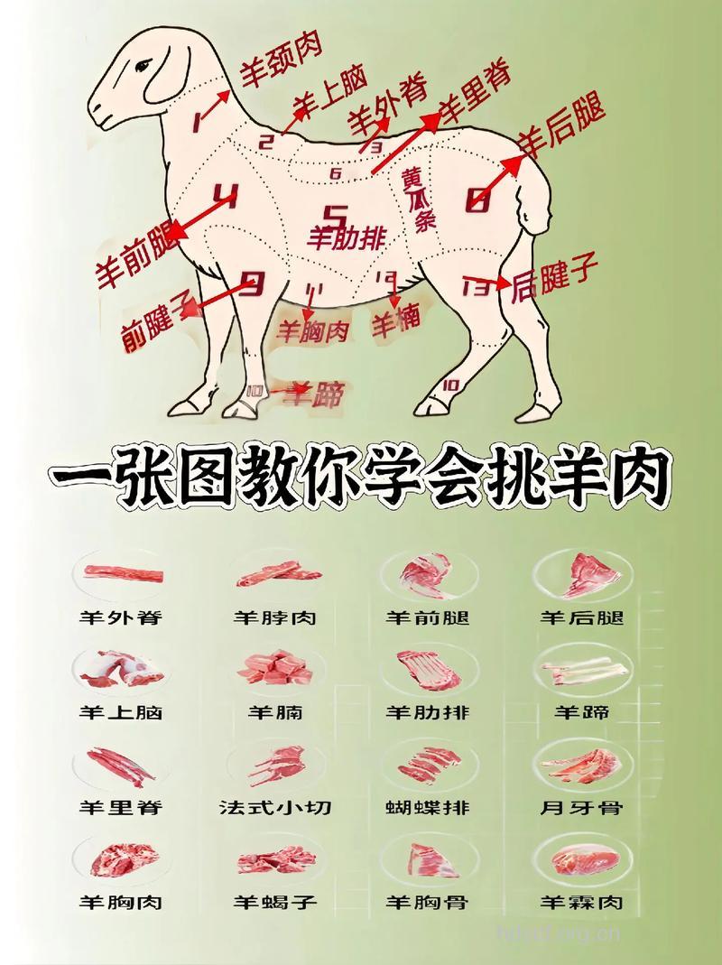 羊肉的正确挑选方法