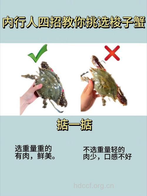 怎么正确买蟹呢?