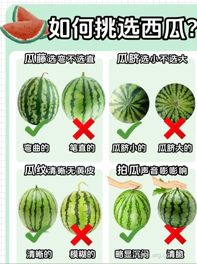 如何挑选好的西瓜