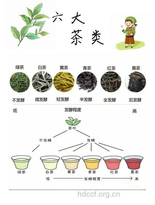 浓缩茶的特点有哪些