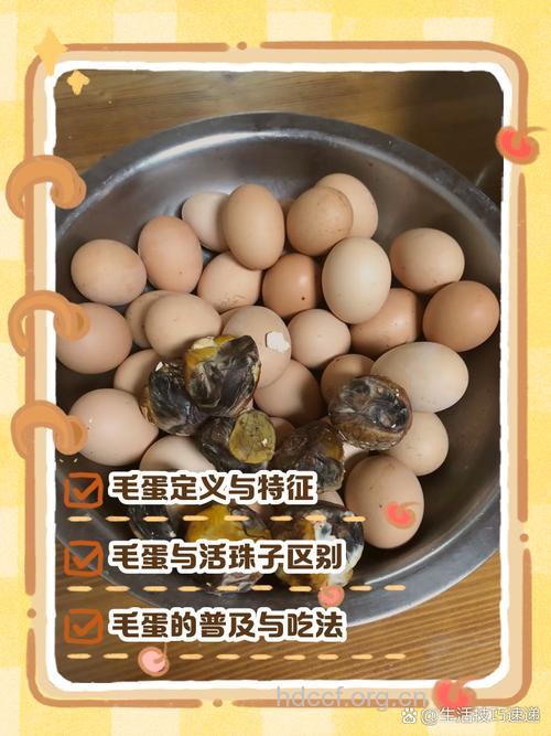 如何辨别毛鸡蛋