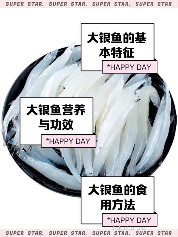 市场上如何选购银鱼