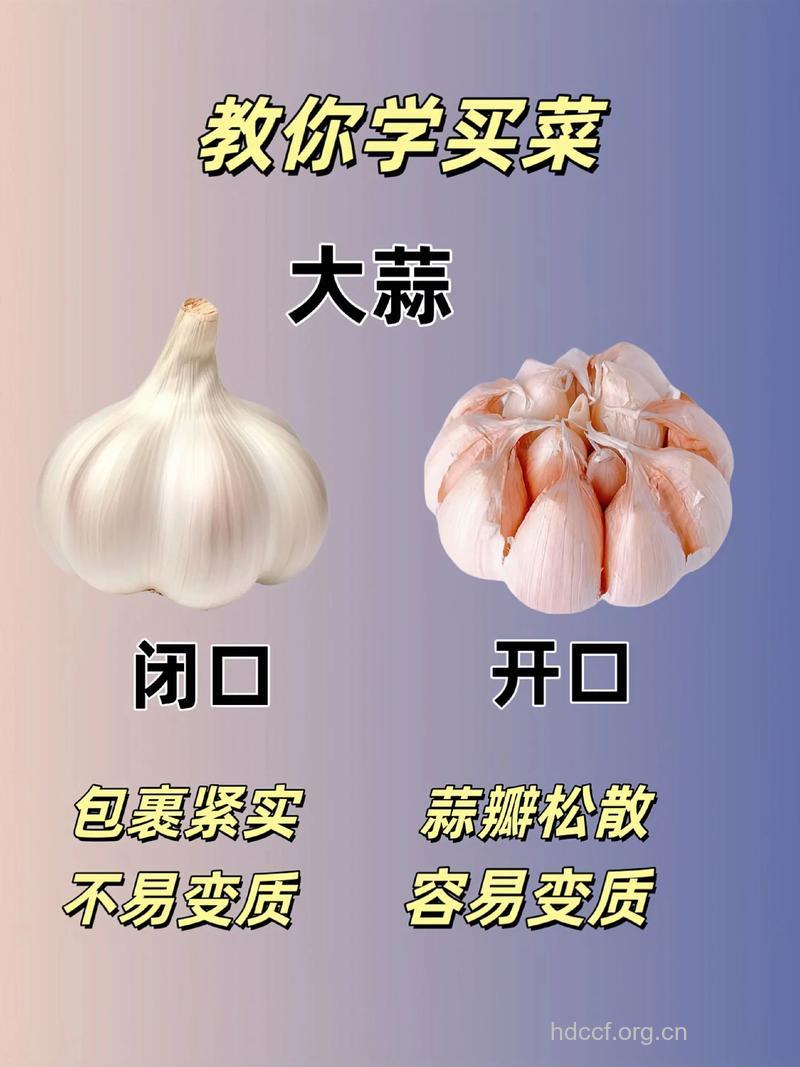 干货的正确挑选方法