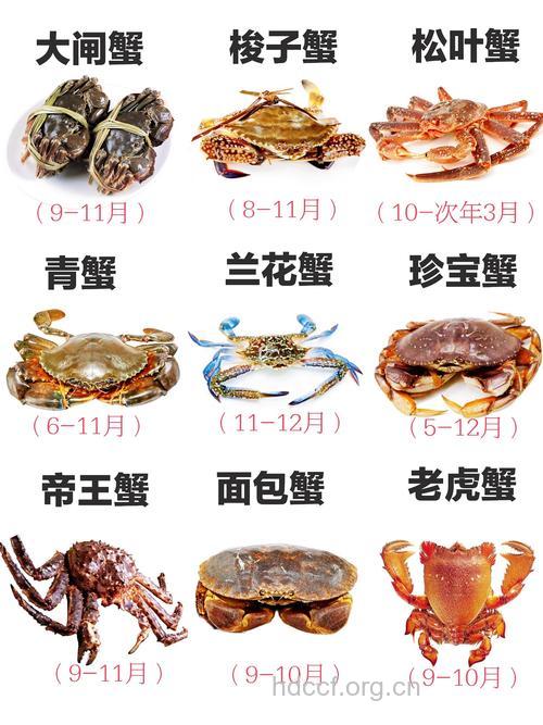 秋季吃哪些螃蟹比较好