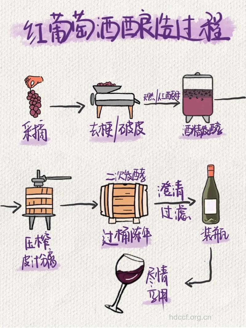 葡萄酒的制作方法