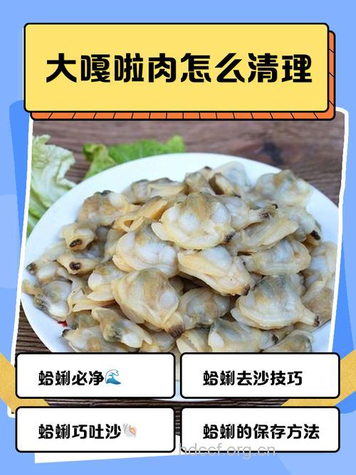 怎么快速生取文蛤肉