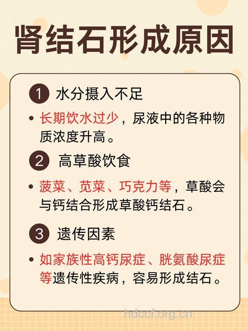 哪些因素会引发女性肾结石