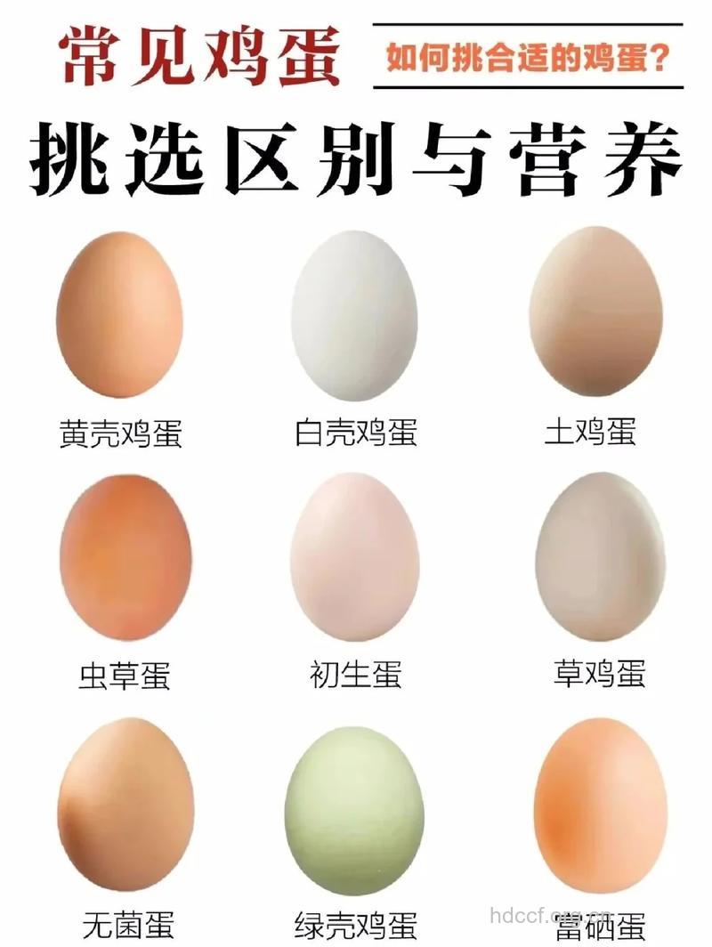 鸡蛋要怎么挑选新鲜的?