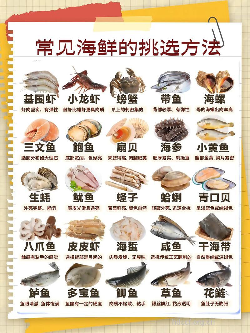 买海鲜要如何挑选呢?