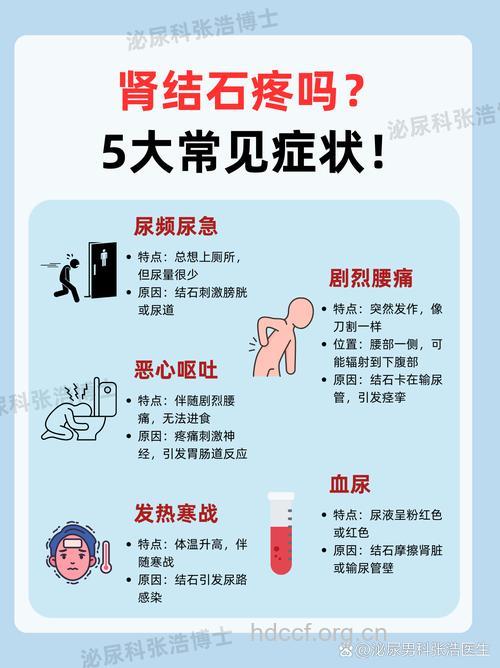 肾结石的症状怎么发作呢