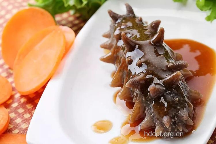 玉兔海参--美味食谱