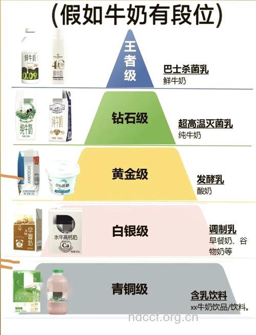 常见奶制品种类知识大全