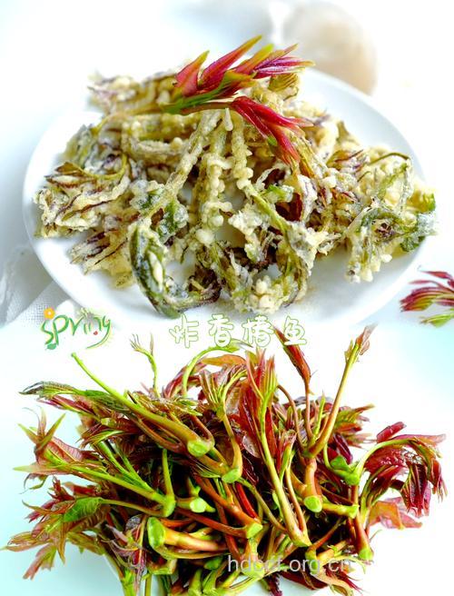 酥皮香椿--美味食谱