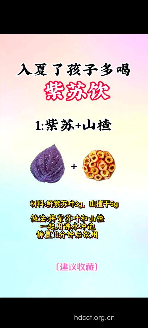 夏季解暑健脾 紫苏营养药膳的做法