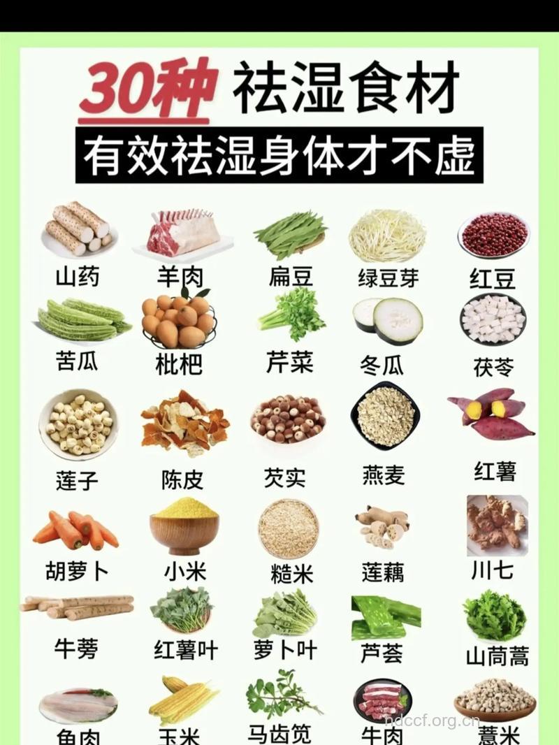 夏季祛湿的五款食物推荐