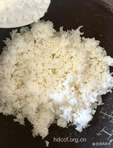 剩下的米饭有什么用处呢?