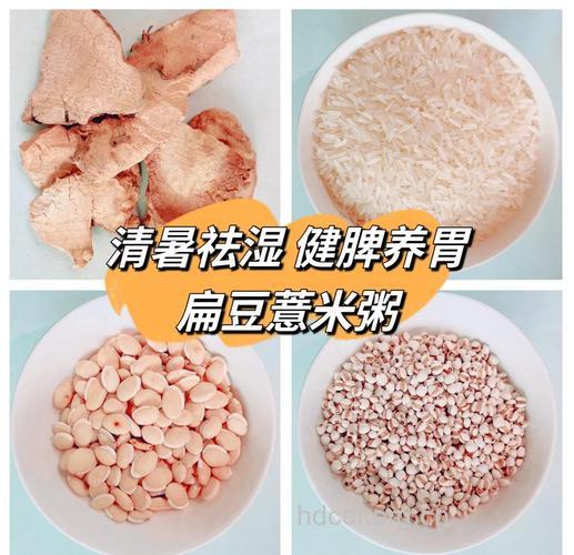 夏季健脾祛湿吃哪些食物好