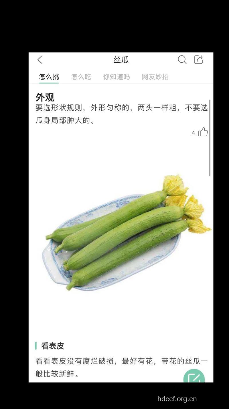 怎样挑选好丝瓜