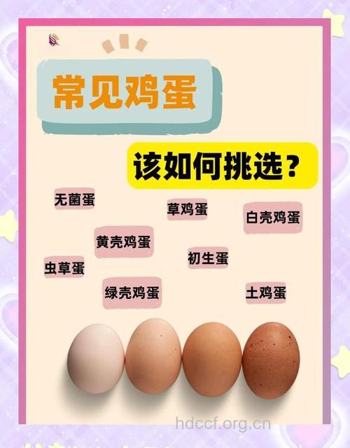 教你如何挑选新鲜鸡蛋