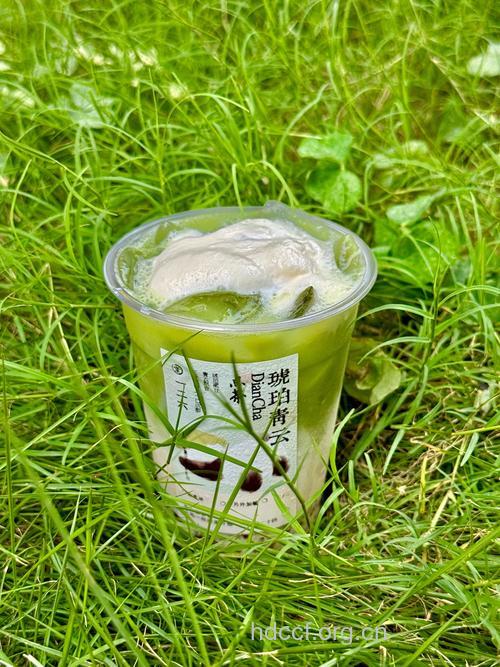 茶叶酸奶清脂润肠