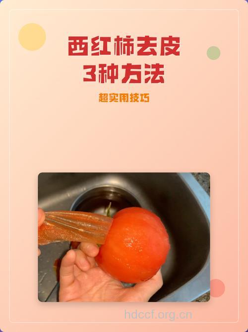 西红柿去皮方法