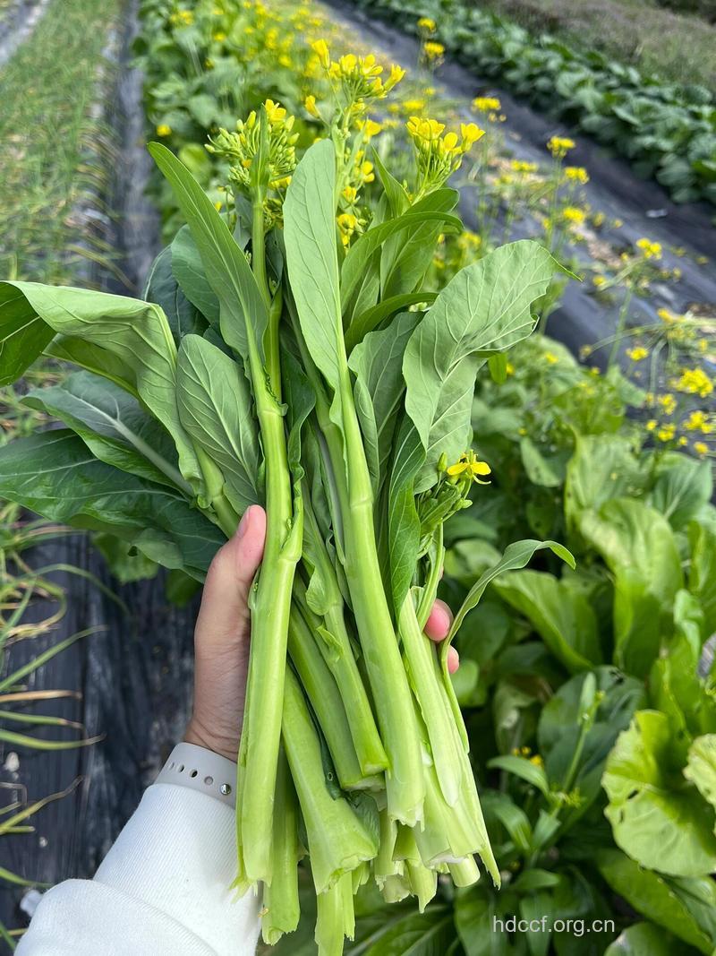 冬季皮肤干燥 多吃补水蔬菜