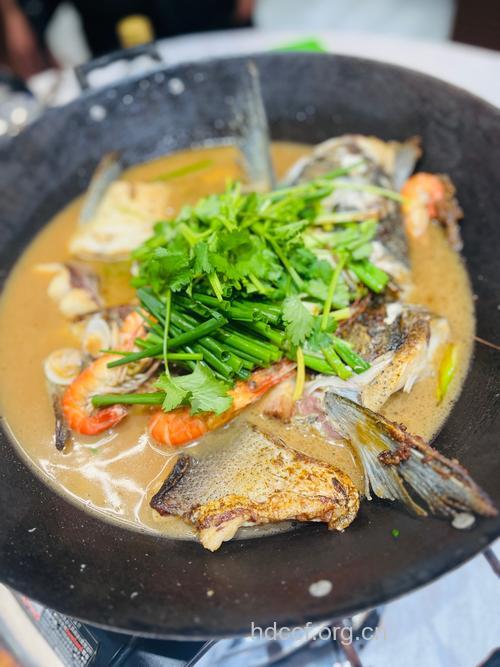 做饭技艺 怎么炖鱼好吃