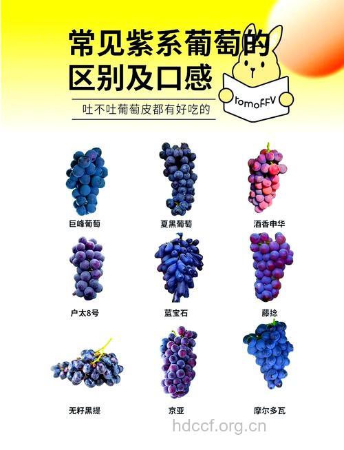 紫葡萄汁中所含的多酚让你惊讶