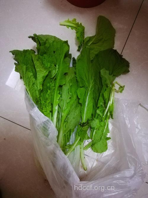 小白菜不能煮得太久