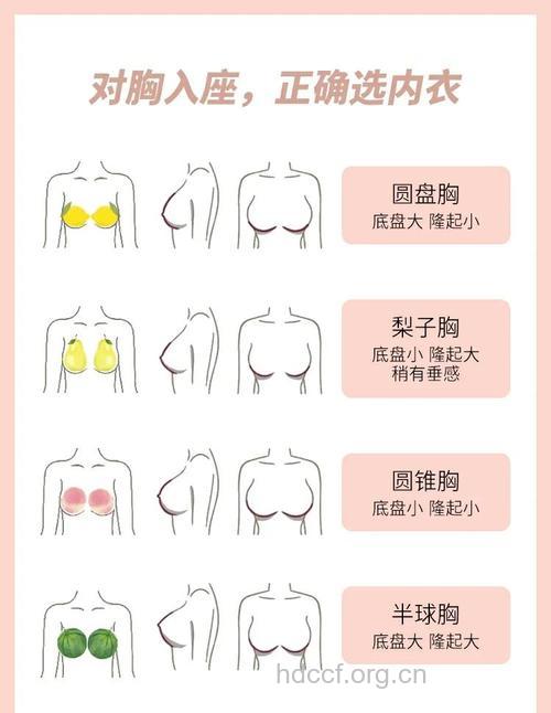 什么样的胸部更性感迷人 判定的五个标准