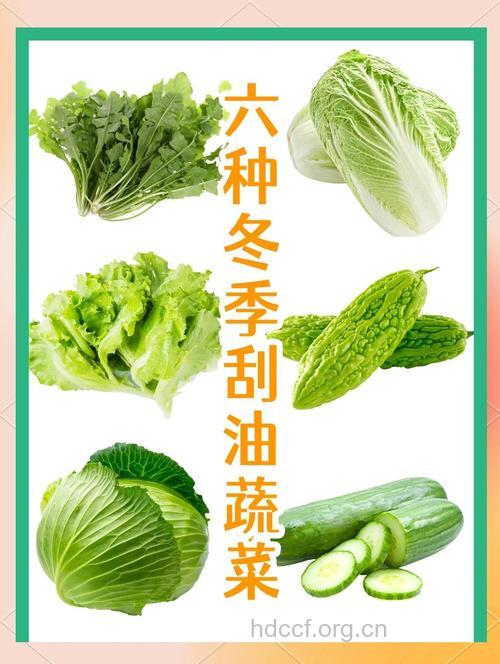 冬季吃什么蔬菜减肥效果好