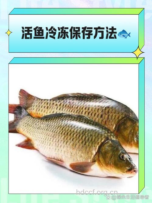 活鱼保鲜四法