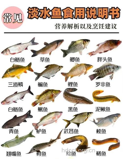 新鲜活鱼怎样吃味道最佳