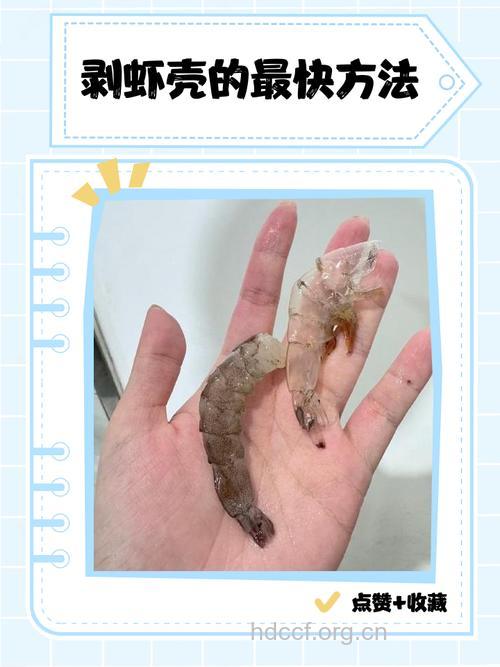 教你虾壳的剥法