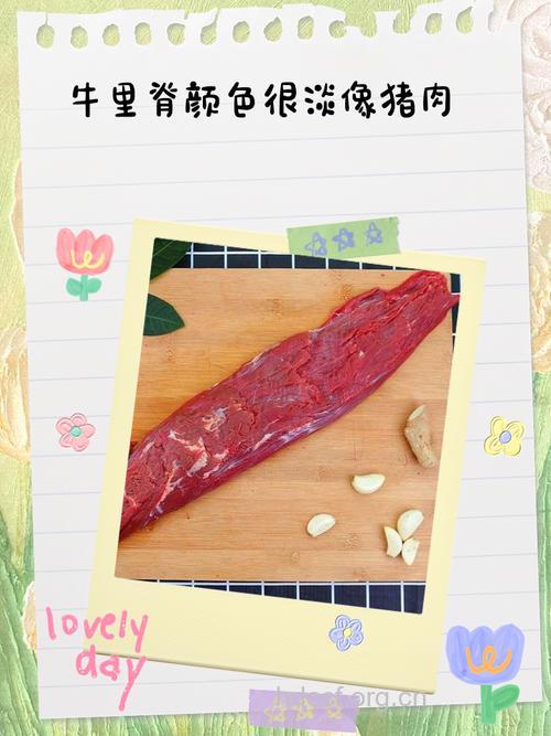 猪、牛和鱼肉的切法