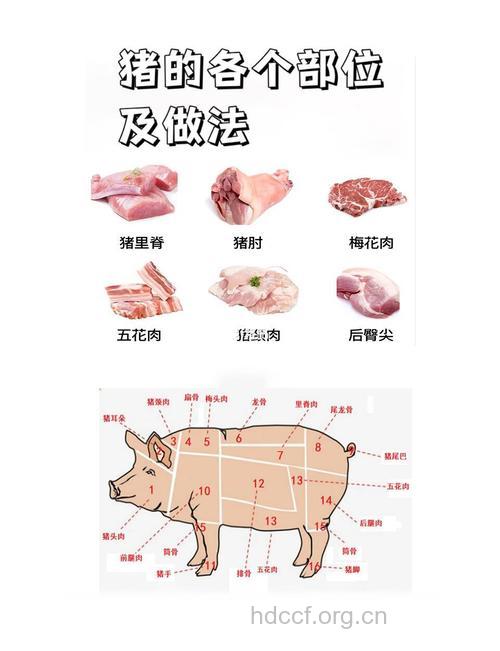 猪肉各部位的叫法及烹调方法