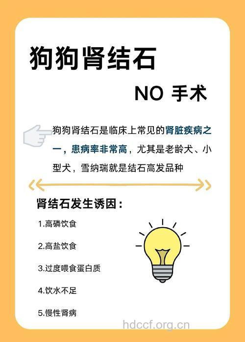 肾结石的非手术治疗方法