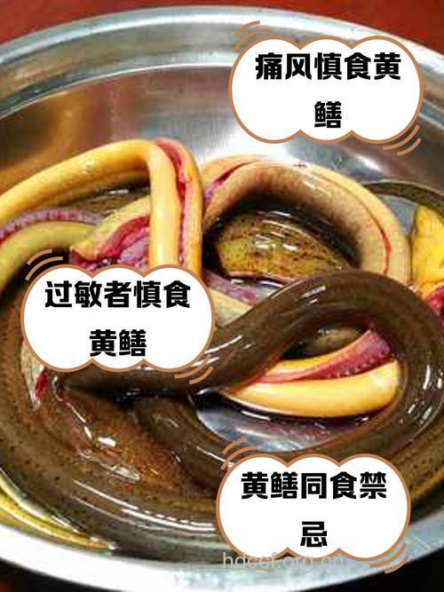 吃黄鳝有禁忌 这四种食材不同吃