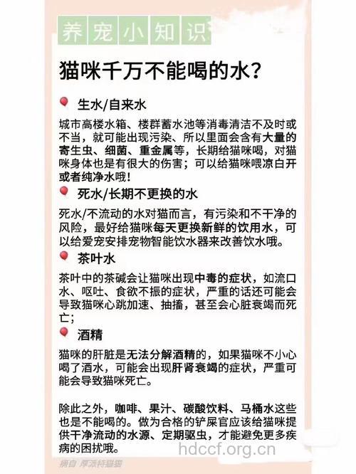哪些水不能喝